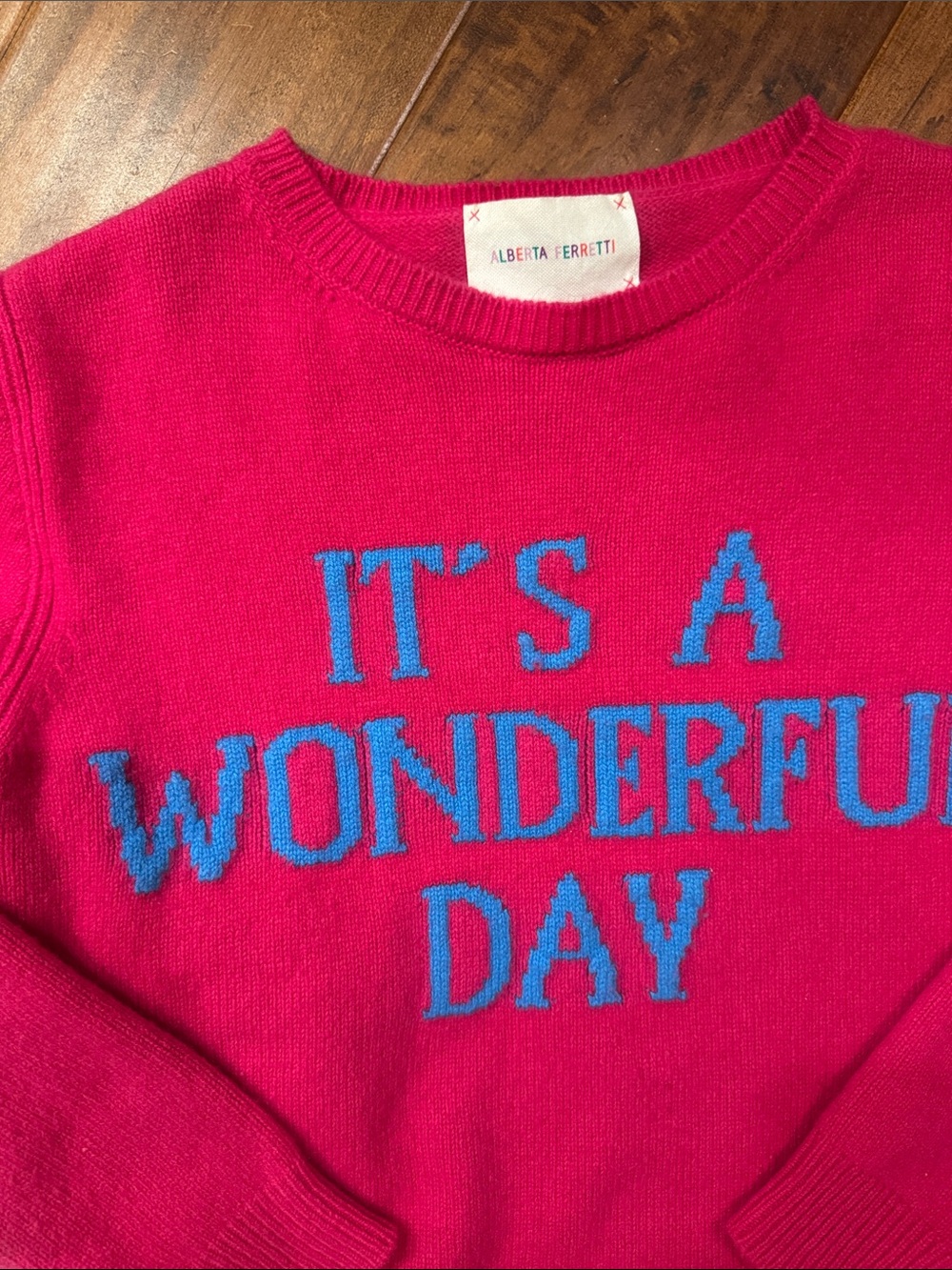 Alberta Ferretti It's A Wonderful Day statement Crewneck wool cashmere Sweater
